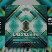 Liquid Soul Synthetic Vibes Starlab Remix