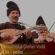 Ansamblul Stefan Voda Lin Pelin