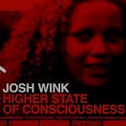 Josh Wink How High Acid