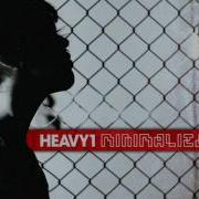Heavy1 Judge