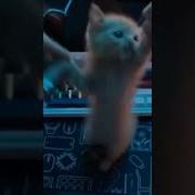Пей Компот Нанана 10 Часов