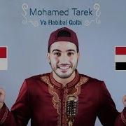 Ya Habibal Qolbi Mohamed Tarek