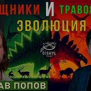 Лекции Ярослава Попова
