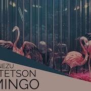 Will Stetson Flamingo