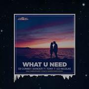 Dj Nicolas What U Need Feat Dj Nicolas Max Farenthide Disco