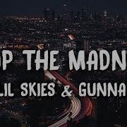 Stop The Madness Lil Skies Ft Gunna Lyrics