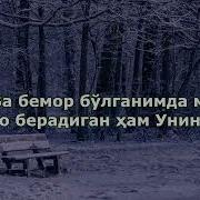 Шуаро Сураси 80 Оят