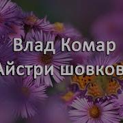 Влад Комар Айстри