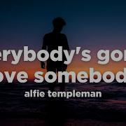 Alfie Templeman Everybody S Gonna Love Somebody Lyrics Vibing Kid