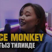 Азиза Боронбаева Dance Monkey Скачать
