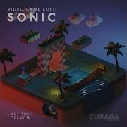 Lost Tree Green Hill Zone From Sonic The Hedgehog Lofi Edit