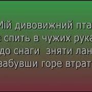 Блакитний Птах Плюс Для Розучування