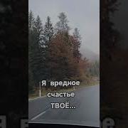 Я Вредное Счастье Твоё Что Свалилось На Плечи
