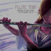 Andrea Megamix Flute Trip Radio Edit