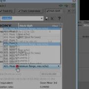 In Robotflip Vegas Pro Version