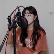 Iu Palette Cover