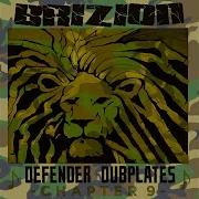 Dub Tactics Part 2 Brizion