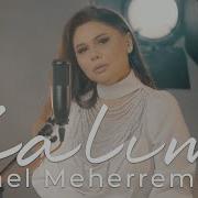 Gunel Meherremova Zalim Official Video 2024