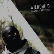 Wildchild Knicknack 2002