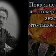 Я Тоже Люблю Чехова