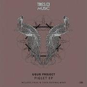 Ugur Project Piglet