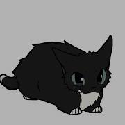 Maxwell Cat Animation