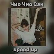 Чио Чио Сан Speed