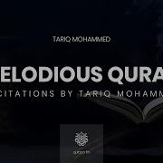 Muhammad Tariq Quran