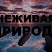 Неживая Природа Обзор Для Детей