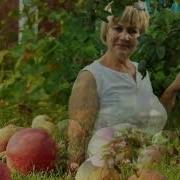 Геннадий Жаров Яблочный Спас