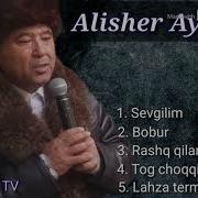 Alisher Aysarov 5 Qoshigi