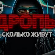 Дропы Сколько Живут