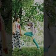 У Меня Болит Задний Габарит