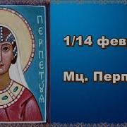 Житие Фелицитаты