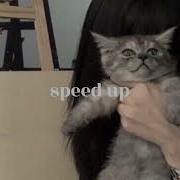 Автостопом По Фазе Сна Опианариум Speed