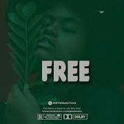 Free Afro Beats Amapiano Instrumental