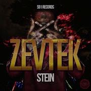 Stein Zevtek