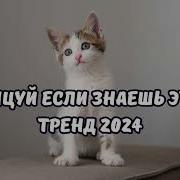 Пой Если Знаешь Этот Тренд Тик Ток