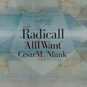 All I Want Nfunk Remix Radicall