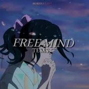 Free Mind Tems Slowed Lyrics Reverb Bubbl3Gum