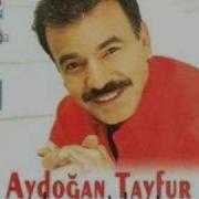 Aydogan Tayfur