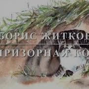Беспризорная Кошка Житков