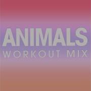 Animals Power Music Workout