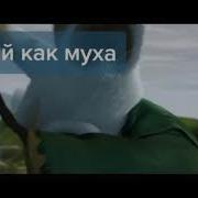 Новыйтикток Кот Чихает Под Музыку