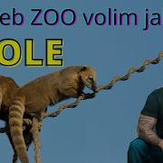 Zagreb Zoo Volim Jako Marin Ivanović Stoka