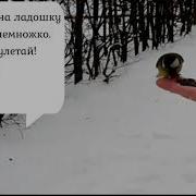 Раухвергер Ласковая Песенка