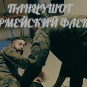 Панцушот Армейский Флекс