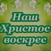 Христос Воскрес Любовь Все Победила