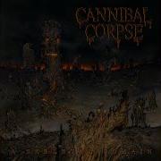 Cannibal Corpse High Velocity Impact Spatter