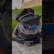 Я Полицейский Котик